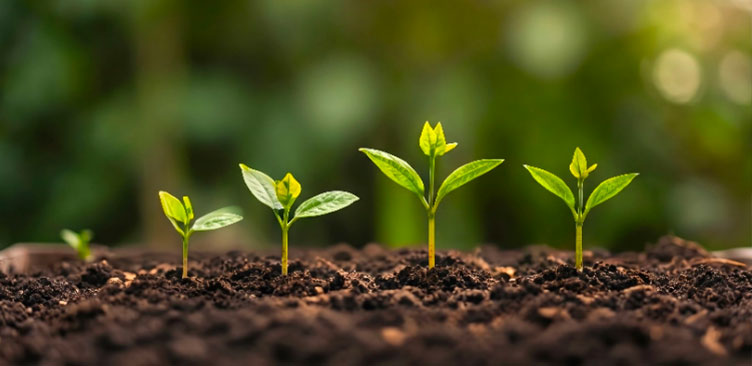 From data to understanding: Veletabak’s Green Footprint